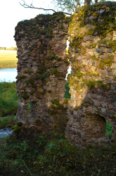 37. Tarvastu lossimäe varemed (Restkooli Viljandimaa resi 2014) (37)