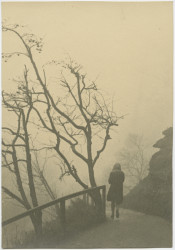 TVK 2311201501. 2015. Pigmenttinditrükk. 15x21 cm.