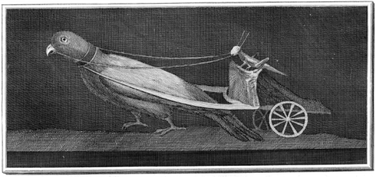 Grasshopper driving a parrot-cart, from Herculaneum (Wikimedia)