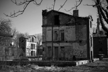 kopliliinidmihkelmaripuu