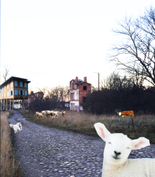 Loomad ürgsel maastikul