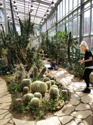 Annika Hint (BES 1) EKA Disainiteaduskonna joonistamise/maalimise praktikal 2016 botaanikaaias.