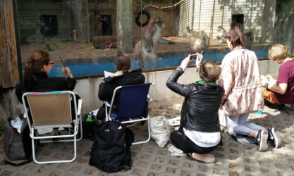 EKA Disainiteaduskonna tudengid joonistamise/maalimise praktikal 2016 makaagikrokiil Tallinna Loomaaias.