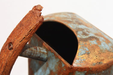 detail-toost-below-concrete-seeds-wait-to-greet-the-light-of-the-sun