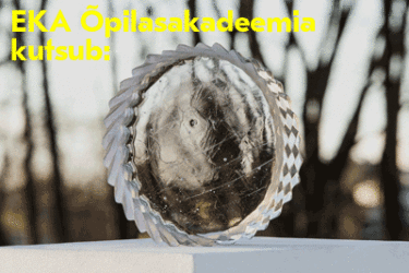 EKA_klaas_akadeemia_01