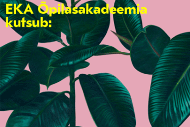 EKA_disain_akadeemia_07