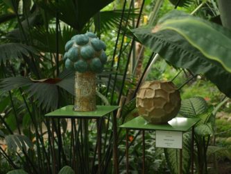 Haidi-Ratas-Looduse-viljad-800x600