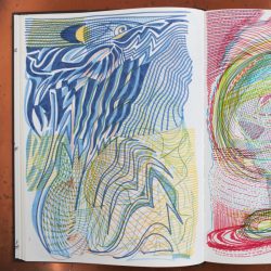 Ulas2017-MG4255_800x800_acf_cropped