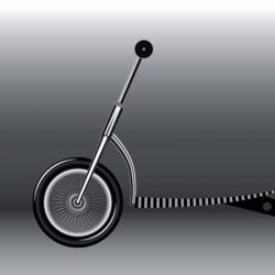 illustrator_800x800_acf_cropped