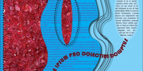 naide_600x300_acf_cropped