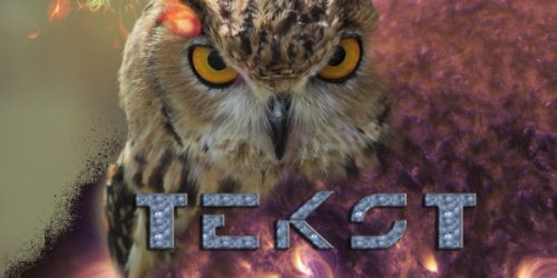 photoshop-1-1_600x300_acf_cropped_600x300_acf_cropped