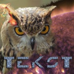 photoshop-1-1_800x800_acf_cropped_800x800_acf_cropped