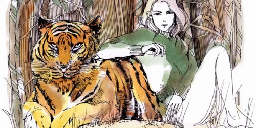 001HUSKYtiger_600x300_acf_cropped