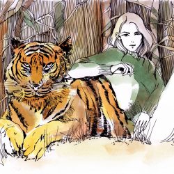 001HUSKYtiger_800x800_acf_cropped