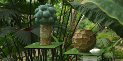 Haidi-Ratas-Looduse-viljad_600x300_acf_cropped