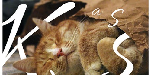 kass_600x300_acf_cropped