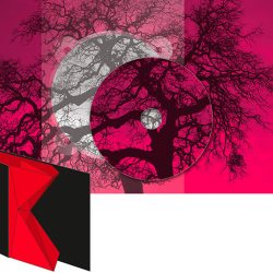 trykis2ruut_800x800_acf_cropped_800x800_acf_cropped