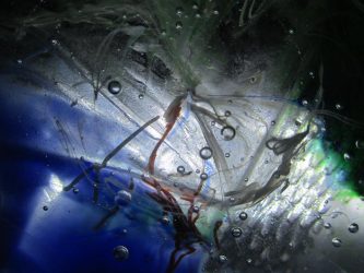 15977005_10209792869196211_4048745778355522078_n