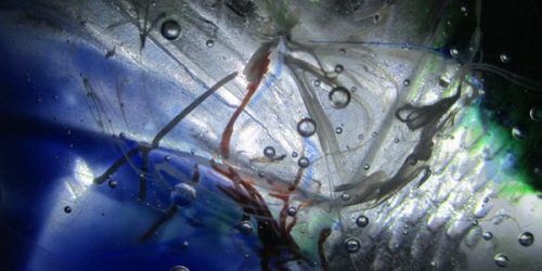 15977005_10209792869196211_4048745778355522078_n_600x300_acf_cropped_600x300_acf_cropped