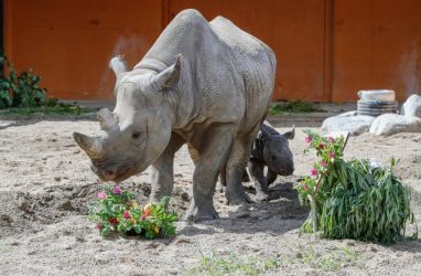 Foto: Andres Putting