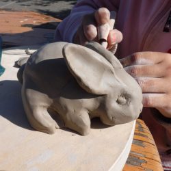 lasteZoo_800x800_acf_cropped