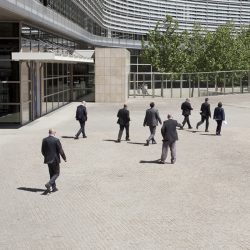 1_esther_hovers_800x800_acf_cropped