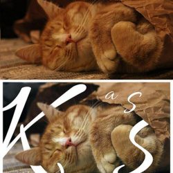 Eva-Kass-1_800x800_acf_cropped