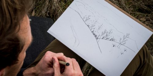 close-up-drawing-grass-821683_600x300_acf_cropped