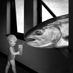 kalev_vapper_2008_teekond_l2bi_k6rveküla_kurgu_02_800x800_pixlit_800x800_acf_cropped