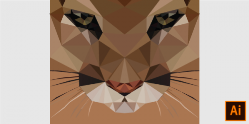 Illustrator_600x300-2_600x300_acf_cropped