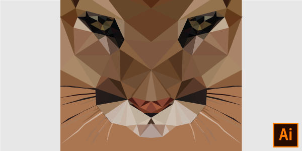 Adobe Illustrator algajale