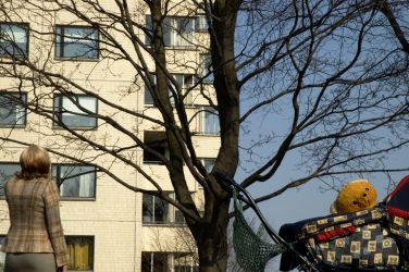 Foto ja looming_autor_ Anna Hints