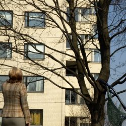 Foto-ja-looming_autor_-Anna-Hints_800x800_acf_cropped