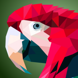 illustrator_algajatele2_800x800_acf_cropped