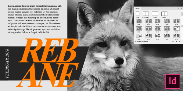 Adobe InDesign algajale