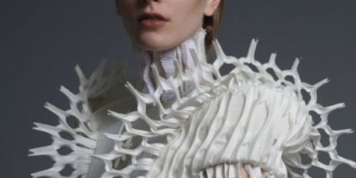 Screen-Shot-2018-12-10-at-11.03.31_600x300_acf_cropped