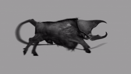 ezgif.com-optimize-2