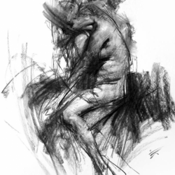 Screen-Shot-2019-02-20-at-21.13.25_800x800_acf_cropped