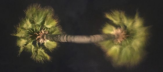 Negotiable I and P (horz)