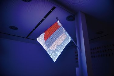 Chameleon_3_photoby_Pablo-Ortuño