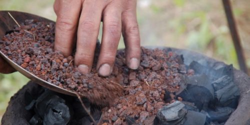 DSC_0494_600x300_acf_cropped