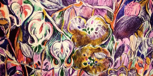 IMG_20190514_001926_600x300_acf_cropped