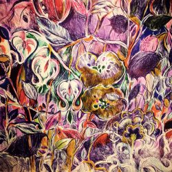 IMG_20190514_001926_800x800_acf_cropped