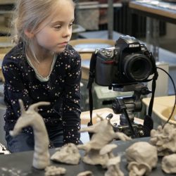 MG_9838_800x800_acf_cropped