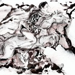 hobusega_2_800x800_acf_cropped