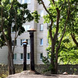 sina_mina_ja_meie_kalev_vapper_2018_narva_10x15_r300_800x800_acf_cropped