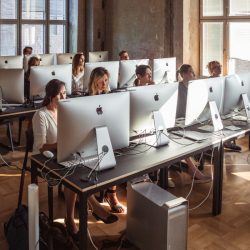 MG_0430_800x800_acf_cropped