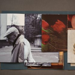 Vera-Naydenova-Varandus_800x800_acf_cropped