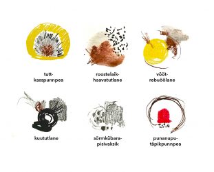 Visuaalse kommunikatsiooni sissejuhatav joonistamiskursus