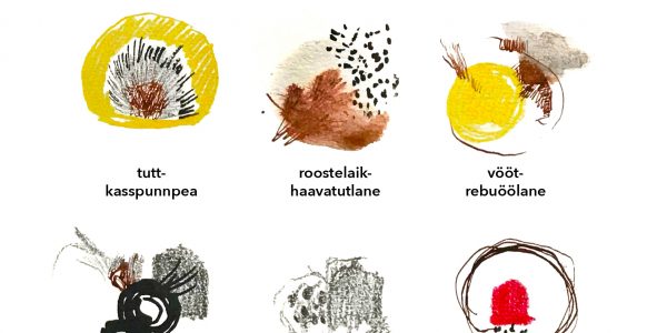 Visuaalse kommuni­katsiooni sisse­juhatav joonistamis­kursus